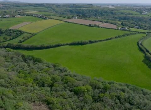 Image shows a birdseye drone view of Lanvean Bottom nature reserve in Mid Cornwall - a new site for BNG units. Rolling meadows, woodland and improved agricultural land