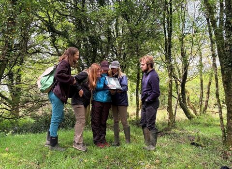 Volunteers gathered around a clipboard in a wooded area